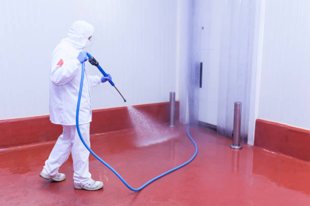Reliable Dunkirk, NY Pressure Washing Services Solutions